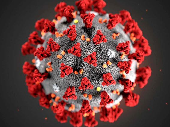 A full-color, close-up image of the SARS-CoV-2 virus